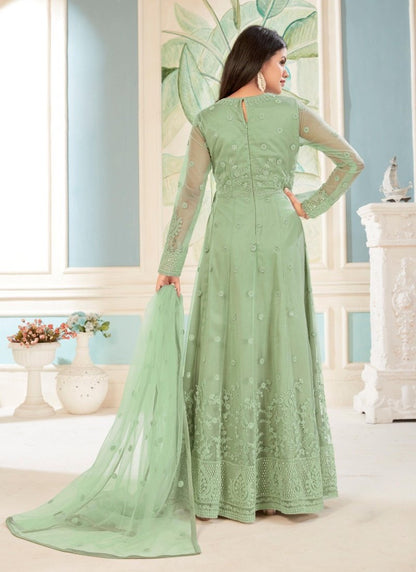 Pista Green Net Embroidered Anarkali Suit-2