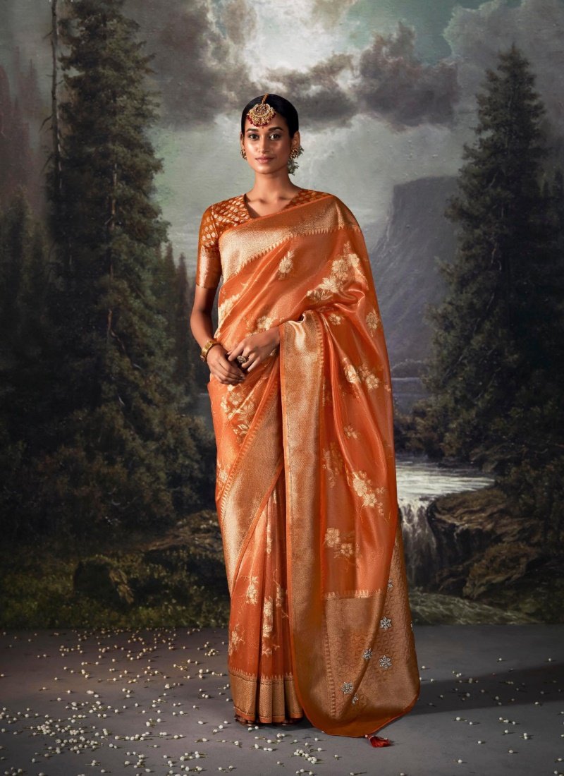 Orange Pure Banarasi Silk Saree With Resham Work and Zari, Stone Work