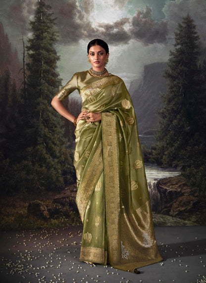 Olive Green Pure Banarasi Silk Saree With Resham Work and Zari, Stone Work