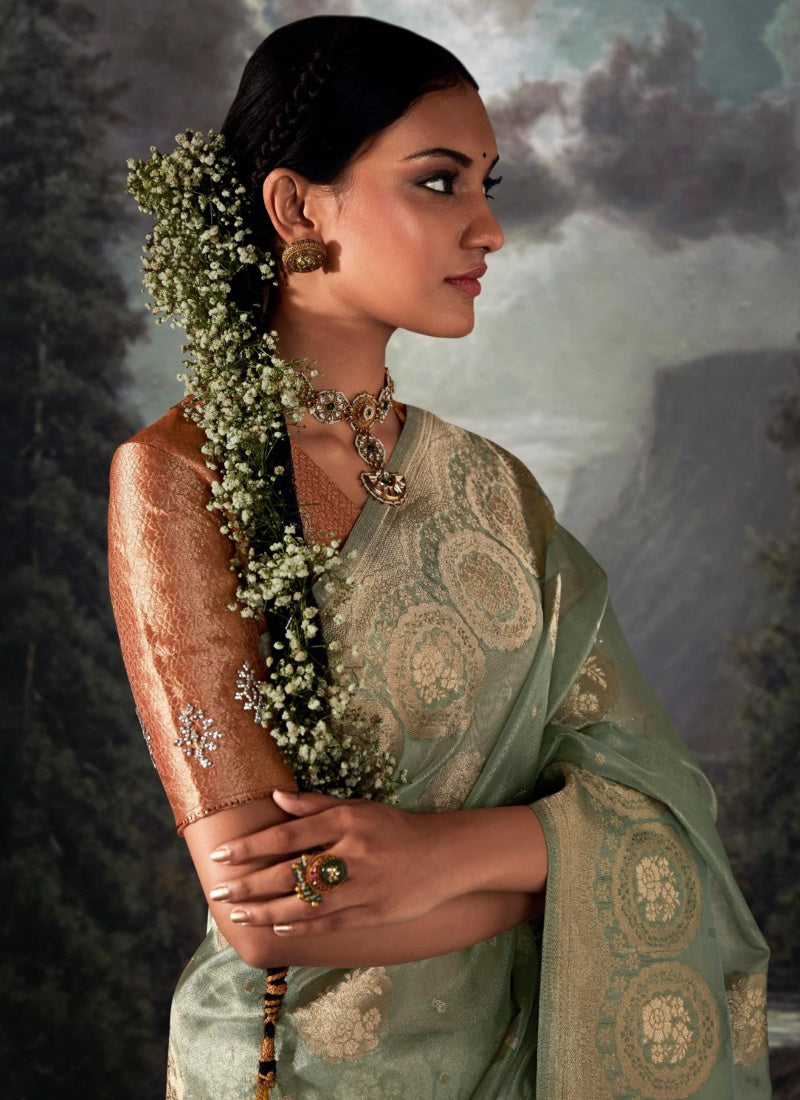 Pista Green Pure Banarasi Silk Saree With Resham Work and Zari, Stone Work-2