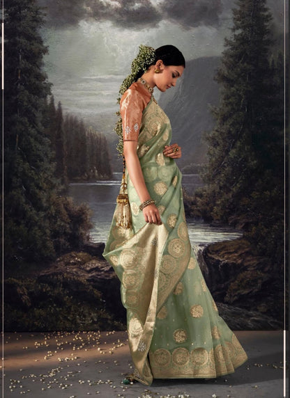 Pista Green Pure Banarasi Silk Saree With Resham Work and Zari, Stone Work-2