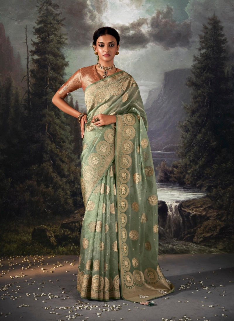 Pista Green Pure Banarasi Silk Saree With Resham Work and Zari, Stone Work