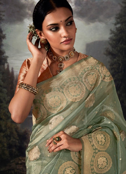 Pista Green Pure Banarasi Silk Saree With Resham Work and Zari, Stone Work-2