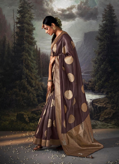 Wine Pure Banarasi Silk Saree With Resham Work and Zari, Stone Work-2