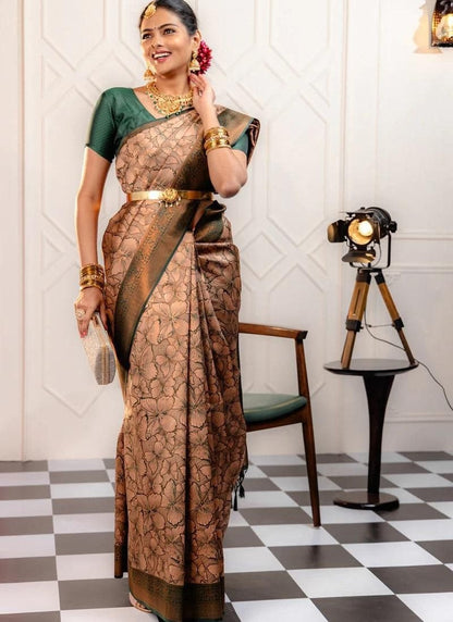 Brown Banarasi Silk Saree With Resham Work