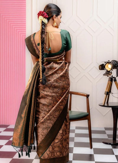 Brown Banarasi Silk Saree With Resham Work