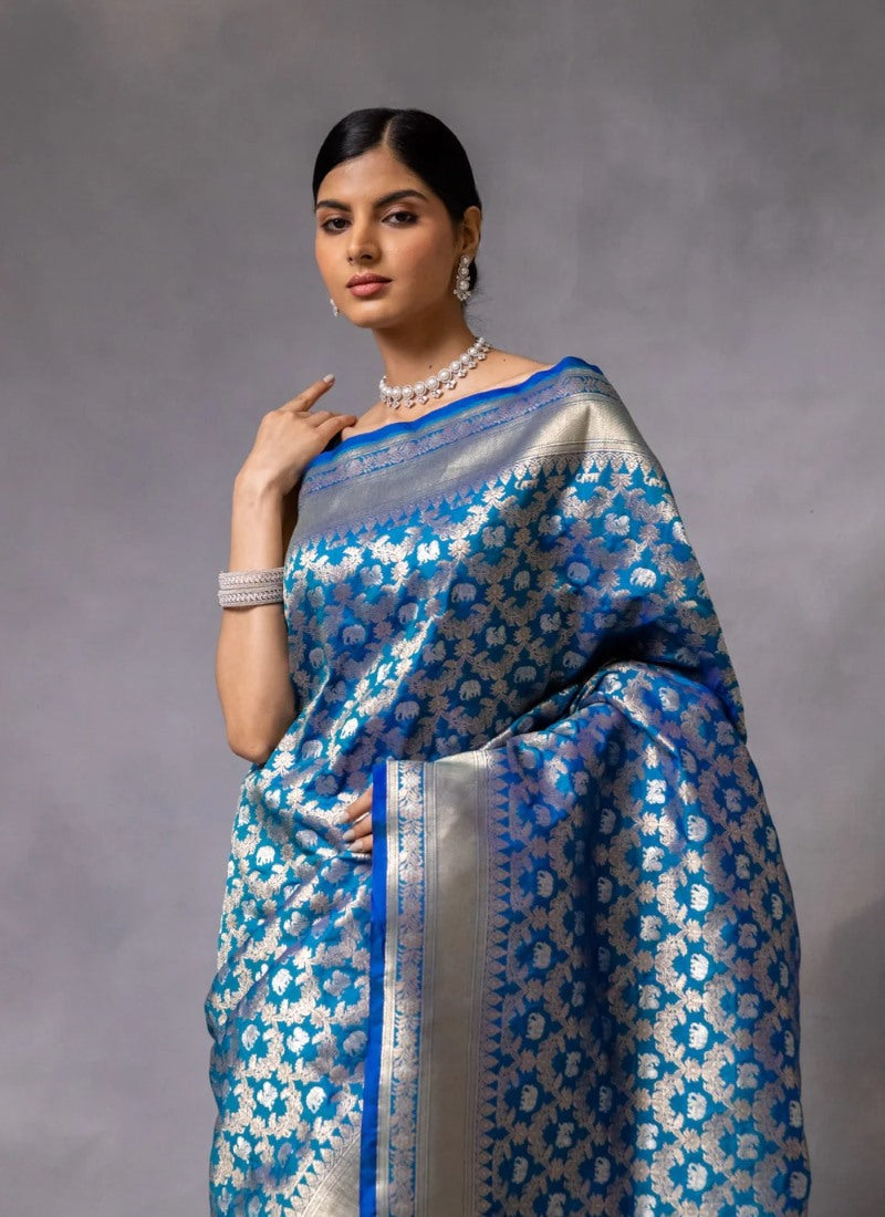 Sky Blue Pure Banarasi Silk Saree With Resham Work