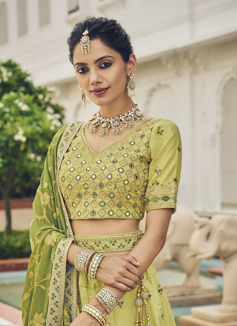 Pista Green Viscose Circular Lehenga Choli-2