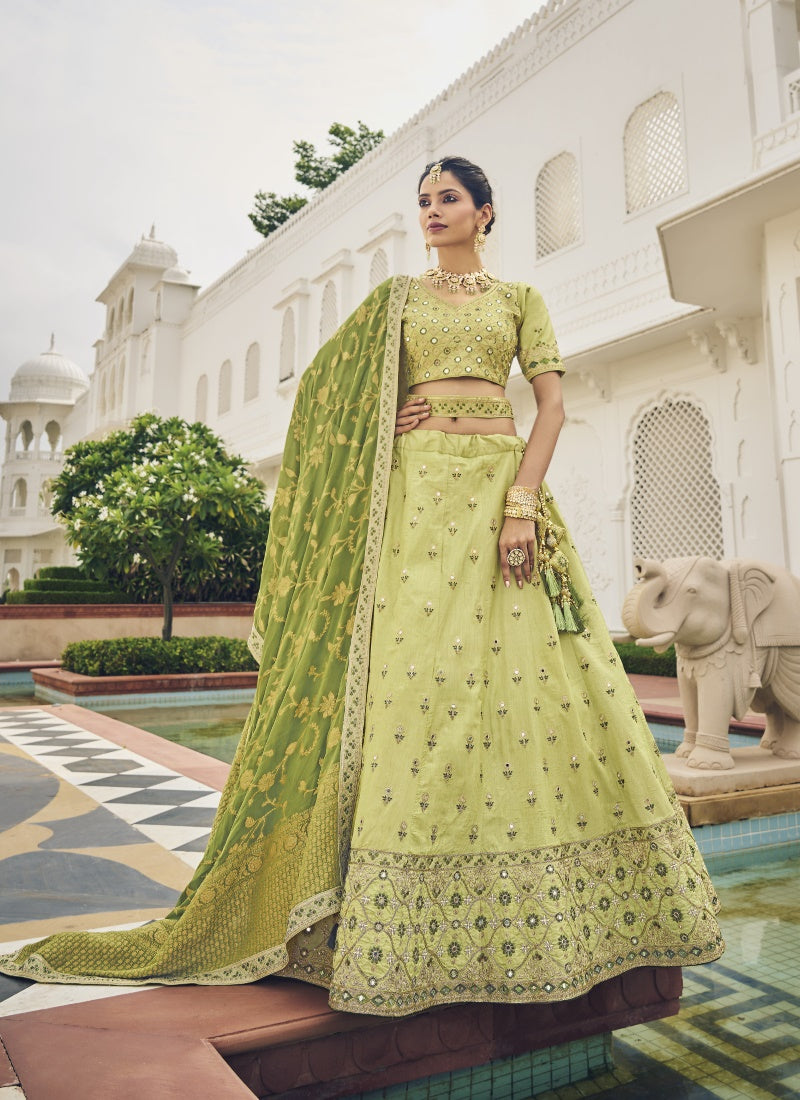 Pista Green Viscose Circular Lehenga Choli-2