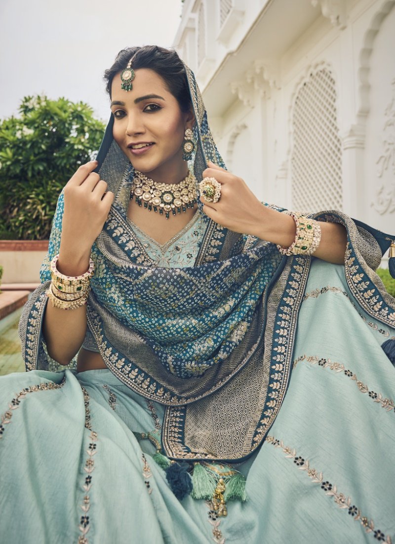 Sky Blue Viscose Circular Lehenga Choli-2