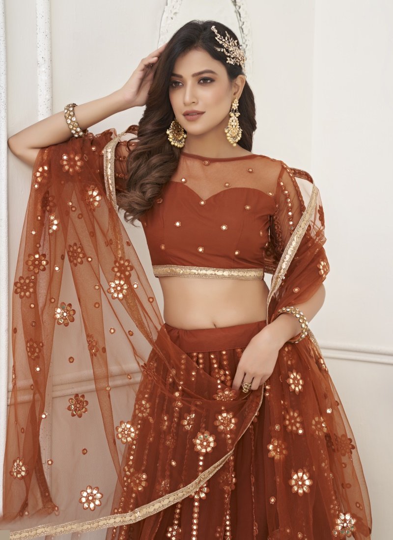 Brown Net Lehenga Choli With Thread, Mirror and Sequins Work-2