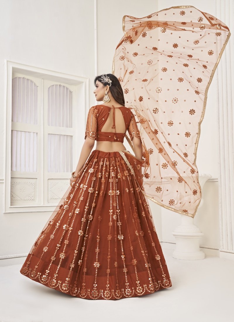 Brown Net Lehenga Choli With Thread, Mirror and Sequins Work-2