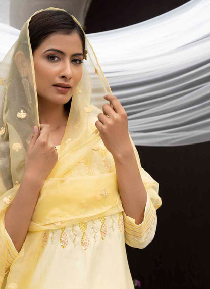 Light Yellow Silk Embroidered Straight Cut Salwar Suit-2