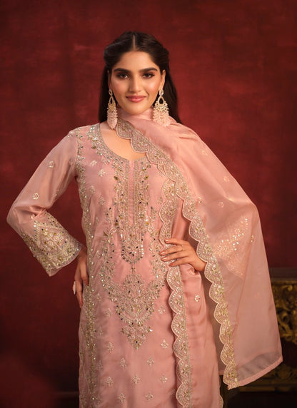 Pink Organza Long Wedding Salwar Suit-2