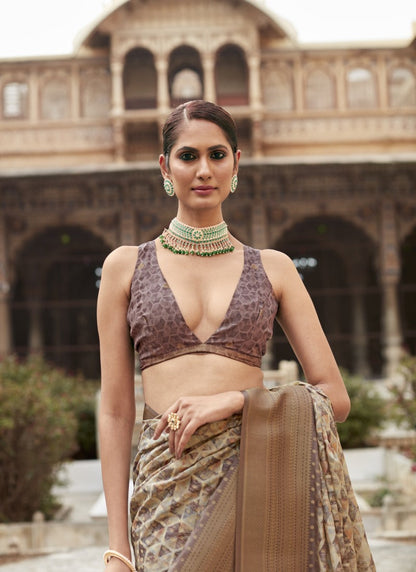 Brown Silk Saree With Contrast Border and Zari Work