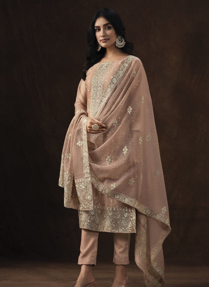 Light Brown Organza Pant Style Salwar Suit-2