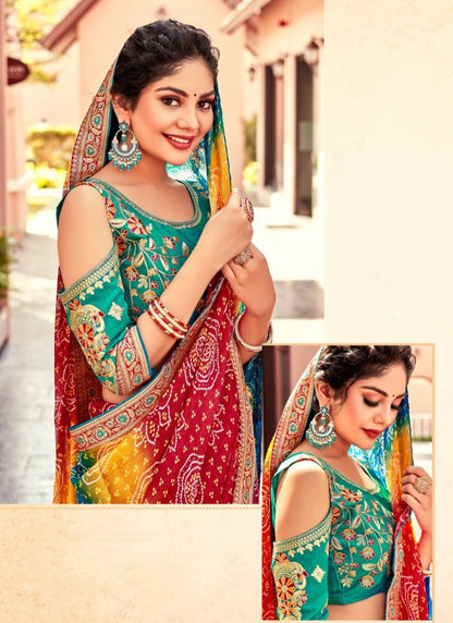 Multi Color Designer Bandhani Saree-2