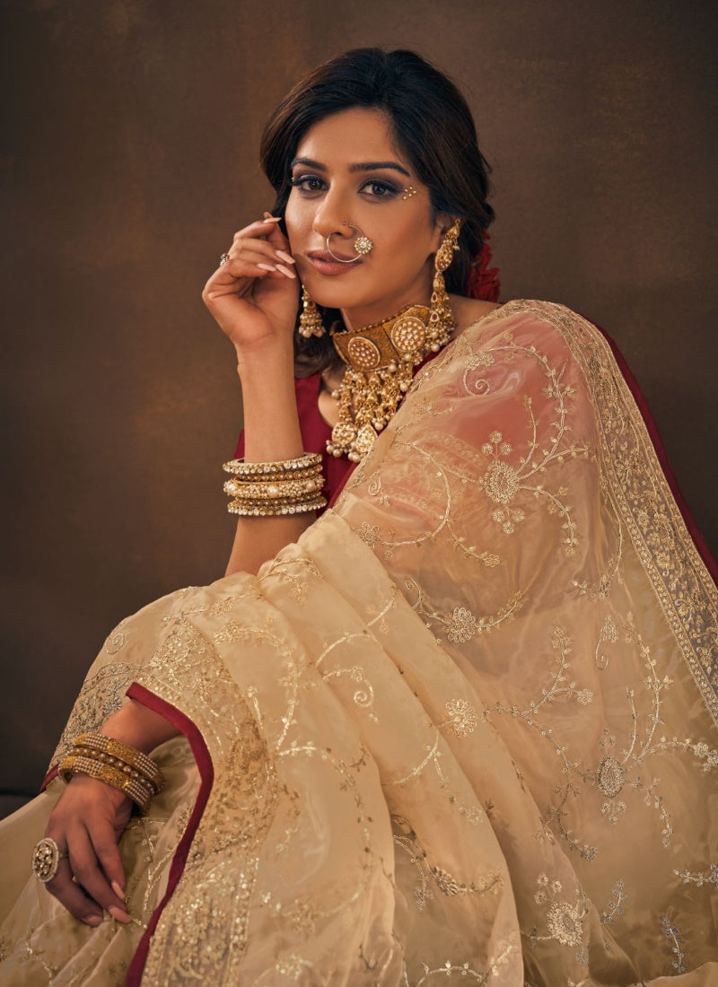 Beige Organza Embroidered Saree-2