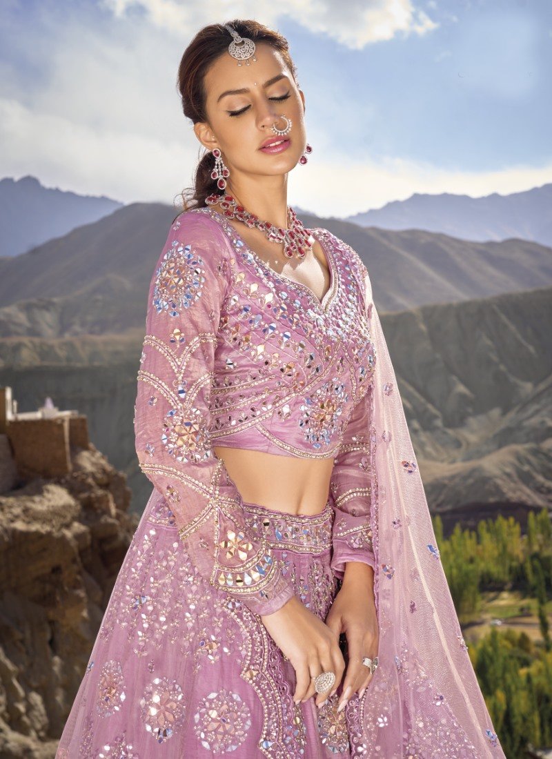 Pink Organza Party Wear Lehenga Choli with Mirror and Sequins Work-2