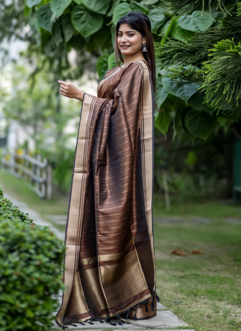 Brown Silk Saree With ZARI WOVEN BORDER AND PALLU WITH ZARI WOVEN LINING