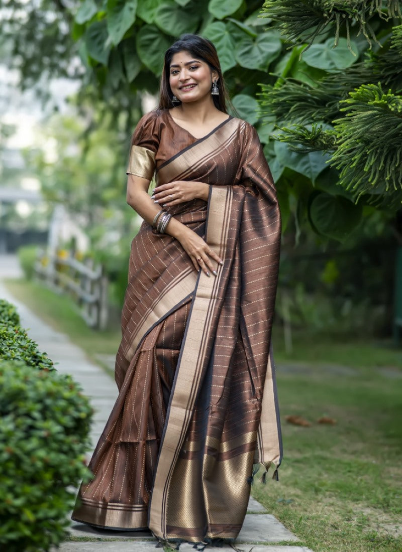 Brown Silk Saree With ZARI WOVEN BORDER AND PALLU WITH ZARI WOVEN LINING