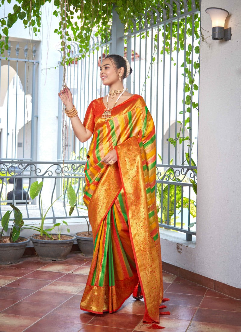 Multi Color Banarasi Silk Saree