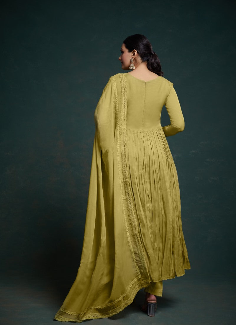 Pista Green Organza Anarkali Suit